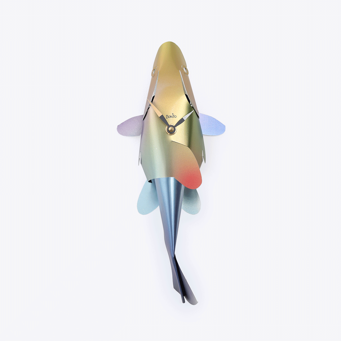 Rainbow Sea Bass